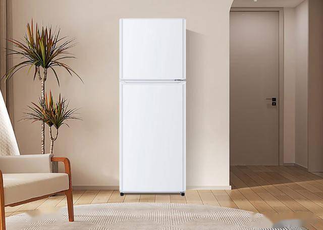 LHTME0WT：849元145升双门节能冰箱爱游戏app登录节能新选择海尔BCD-145(图2)