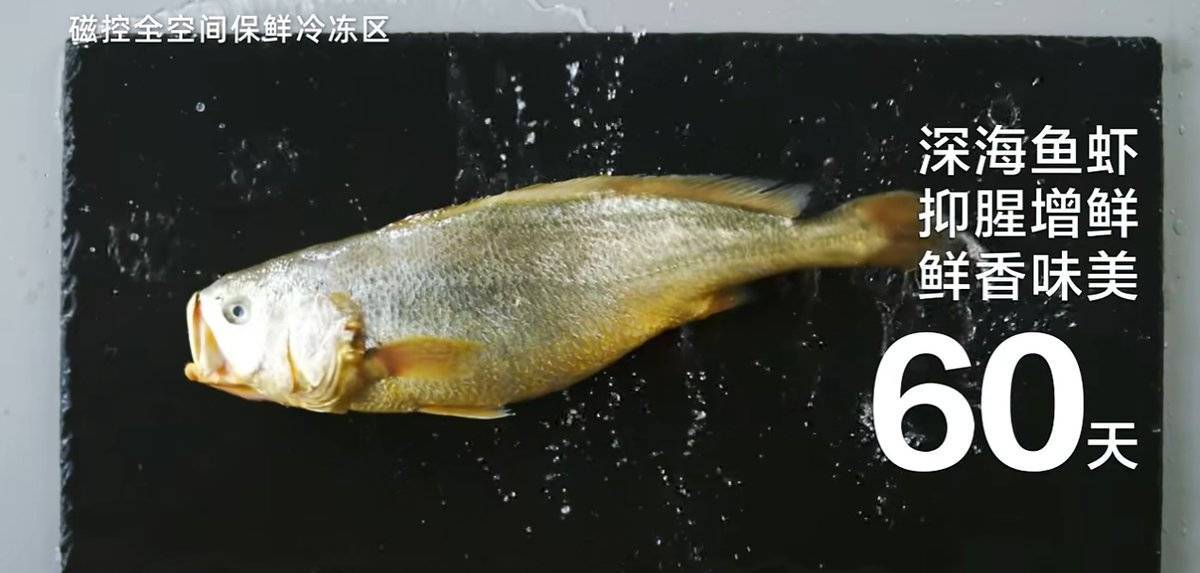 冷暖冰箱保鲜60天科技引领生活新体验！爱游戏最新海尔智家日内瓦夺三金：空调秒(图3)