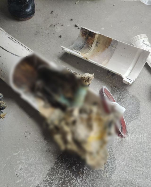 水浸泡！业主崩溃：全屋都是无法接受ayx爱游戏体育网页版入口婚房被粪(图11)