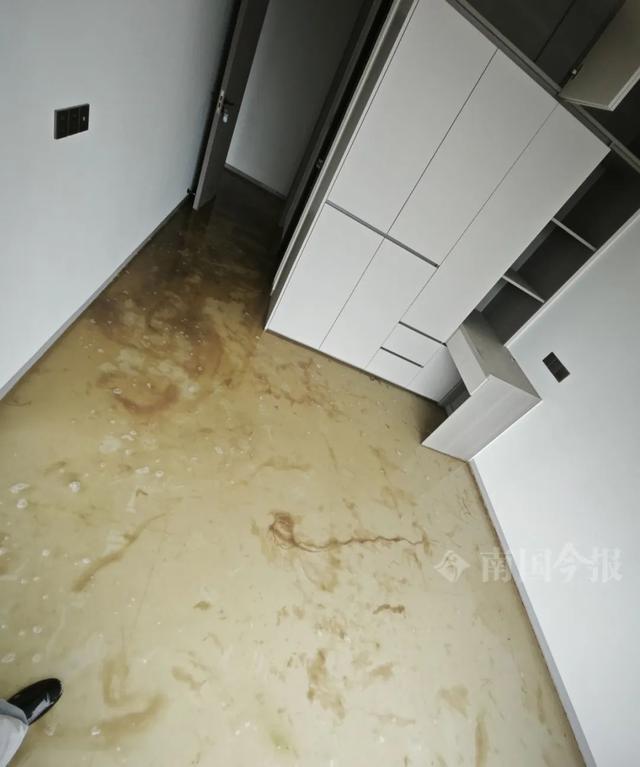 水浸泡！业主崩溃：全屋都是无法接受ayx爱游戏体育网页版入口婚房被粪(图4)