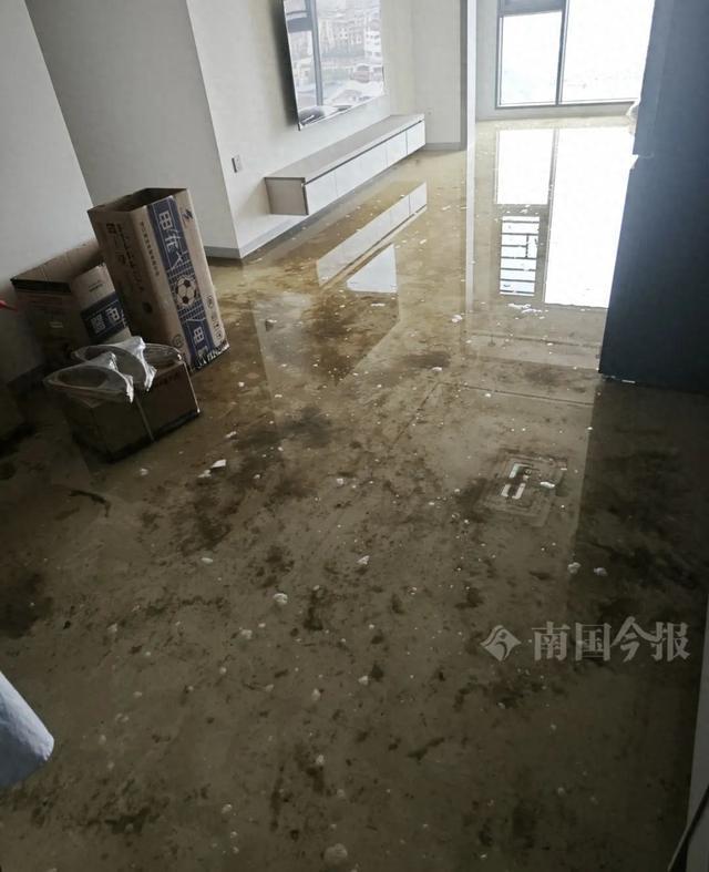 水浸泡！业主崩溃：全屋都是无法接受ayx爱游戏体育网页版入口婚房被粪(图5)