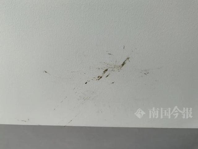 水浸泡！业主崩溃：全屋都是无法接受ayx爱游戏体育网页版入口婚房被粪(图9)